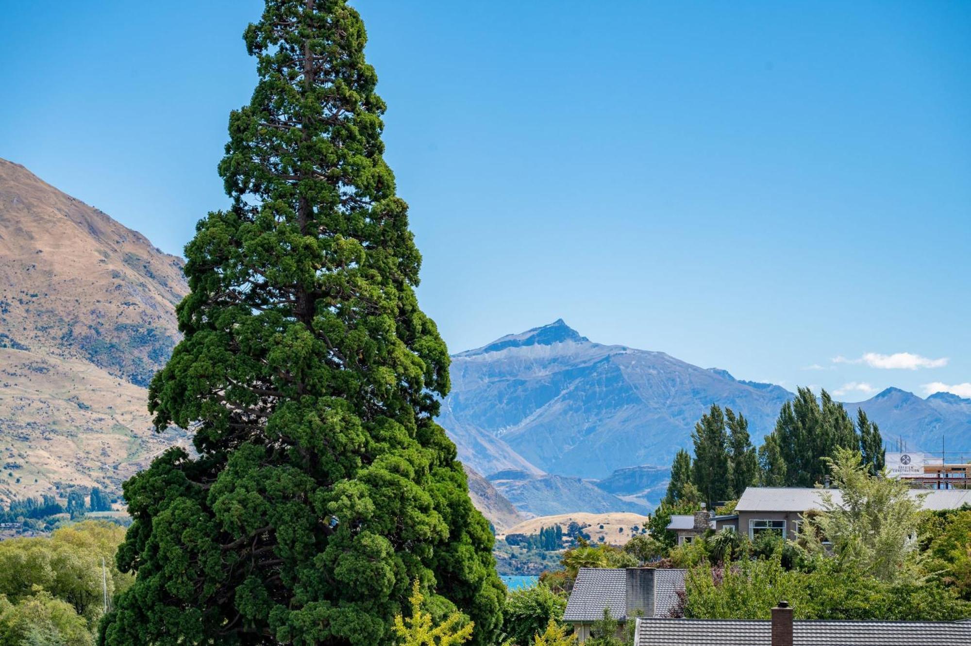 Lakeside Luxury 2 Bedroom Apartment Wanaka Exteriör bild